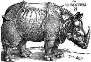 durer_-_rhinoceros