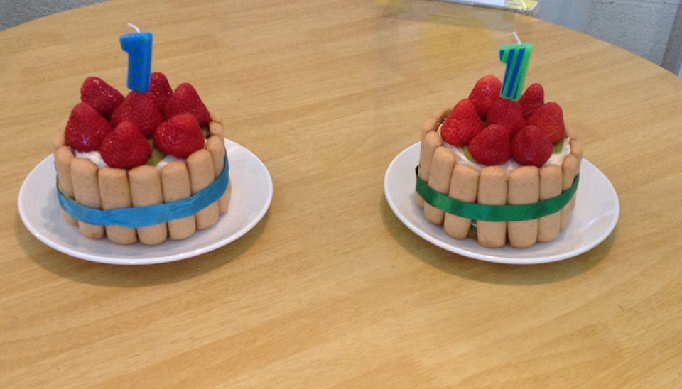 Learning to Learn from Babies